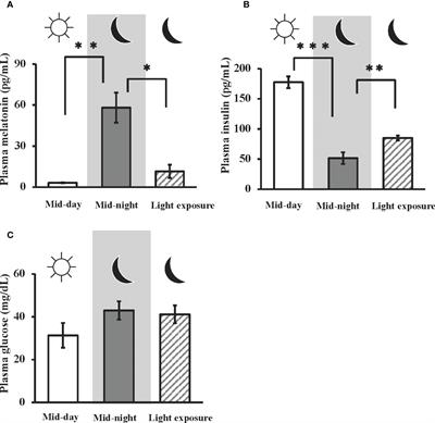 Nocturnal melatonin increases glucose uptake via insulin-independent action in the goldfish brain